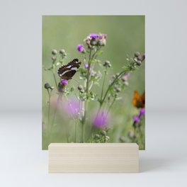 Butterfly in focus Mini Art Print