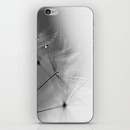 balance iPhone & iPod Skin
