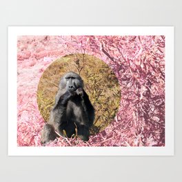 Baboon at Afternoon Tea- South Africa Art Print