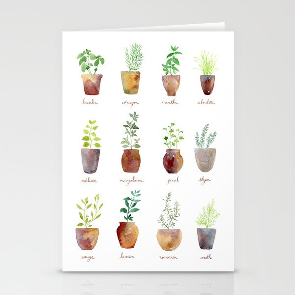 Culinary Herbs Stationery Cards