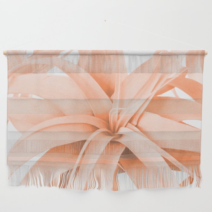 Coral Color Air Plant White Background Wall Hanging By Pivivikstrm
