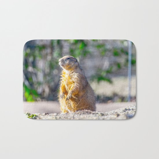The Good Gopher Bath Mat
