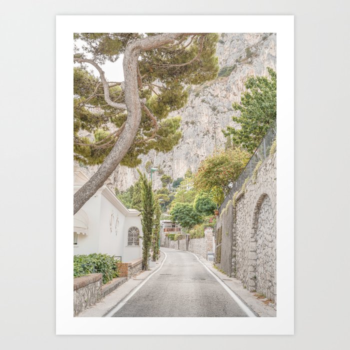 Botanical Road On Capri Island Photo | Summer In Italy Art Print | Nature Travel Photography Art Print