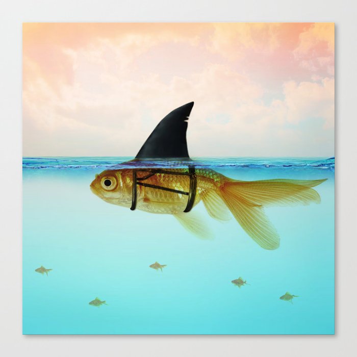 goldfish with a shark fin Canvas Print by Vin Zzep Society6