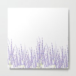 Lavender Metal Print | Relax, Countrystyle, Pattern, Calm, Dorm, Summercottage, Plant, Herbs, Nature, Romantic 