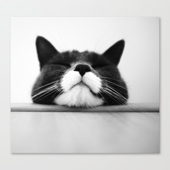 Cat Canvas Print