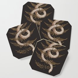 The Snake and Fern Coaster