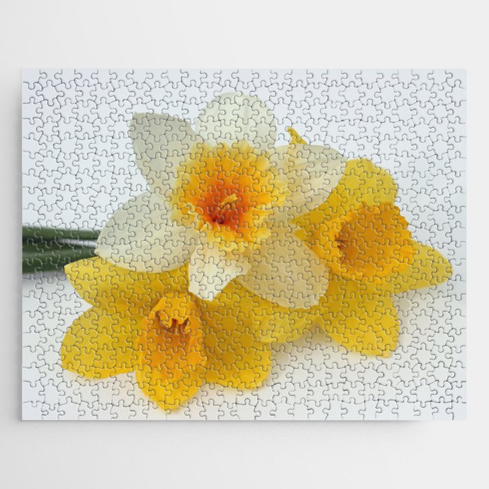 Daffodil Trio Jigsaw Puzzle