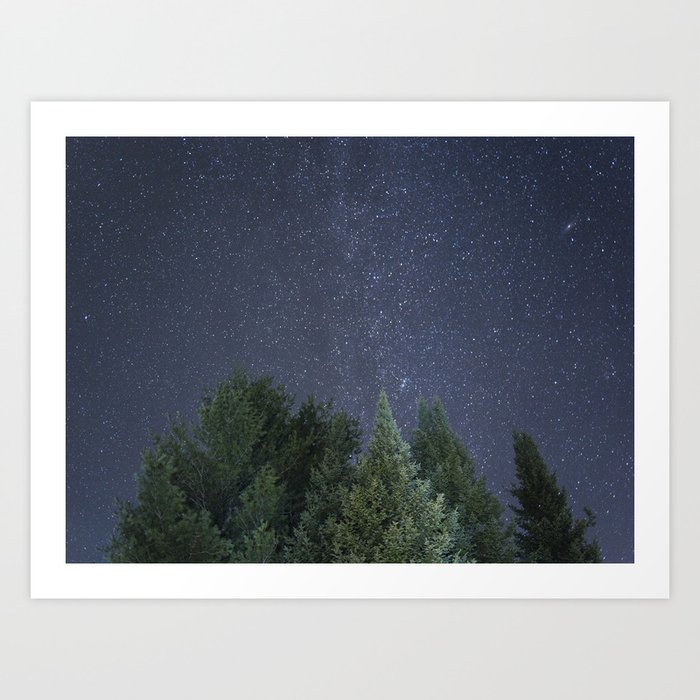 Pine trees with the northern michigan night sky Art Print