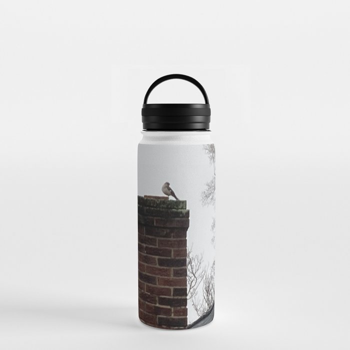 The Lookout Water Bottle