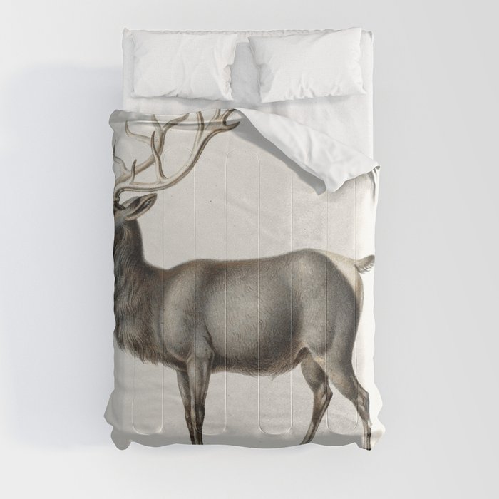 European Elk Comforter