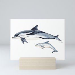 Striped dolphin Mini Art Print