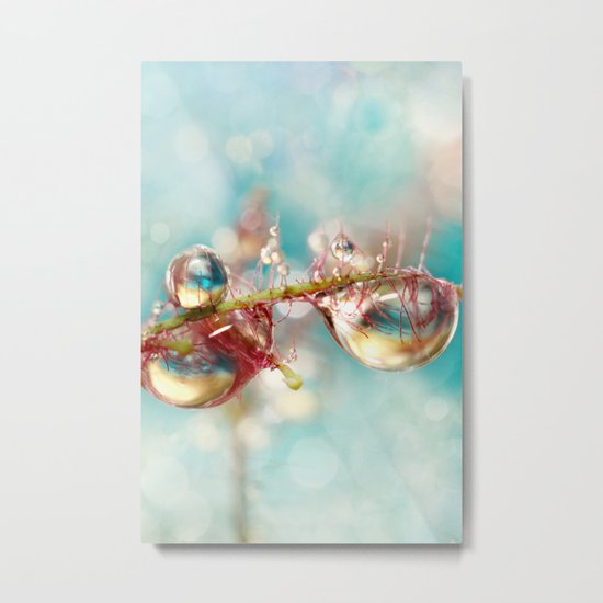 Smoke Bush Blue Metal Print