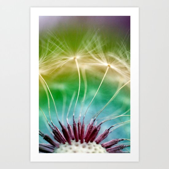 Dandelion Art Print