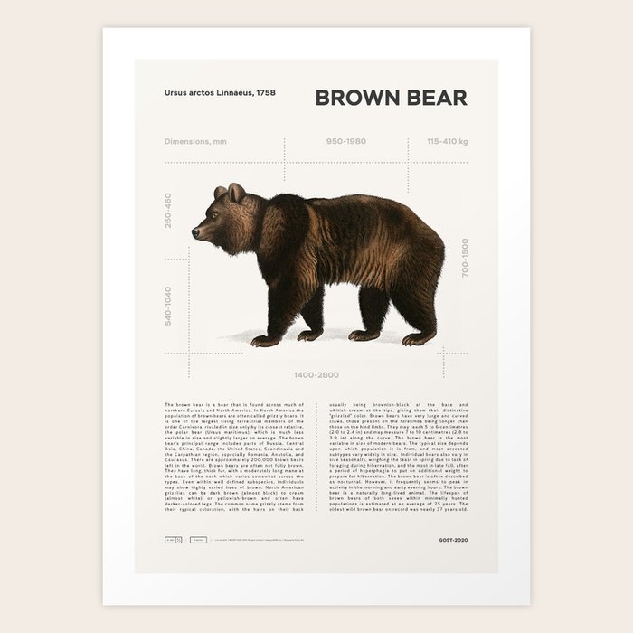 Brown Bear 1892 Art Print By Gost2020