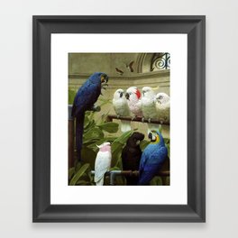 Hyacinth Macaw, Black Cockatoo, Cockatoos, Peach Cockatoo Select Committee by Henry Stacy Marks Framed Art Print