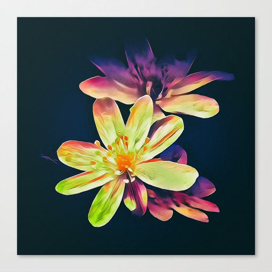 Morning in the garden Canvas Print
