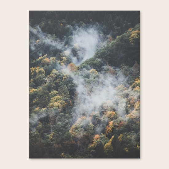Deep Forest Canvas Print