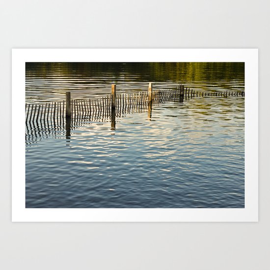 Reflections Art Print