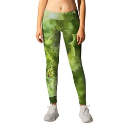 Spiked Leaf Plant Leggings | Bristle, Spray, Canadian, Mary, Mixinmadness, Thistle, Lush, Scotland, Spear, Cure 