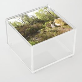 Scottish Highlands Pale Sky Woodland Scene Acrylic Box