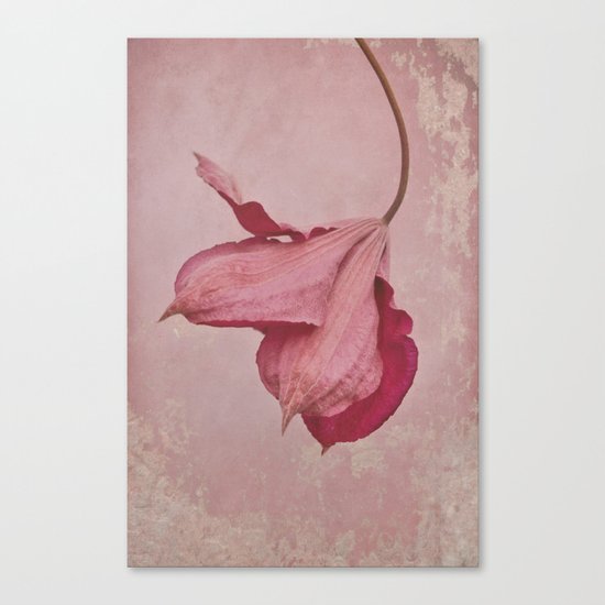 antique pink Canvas Print