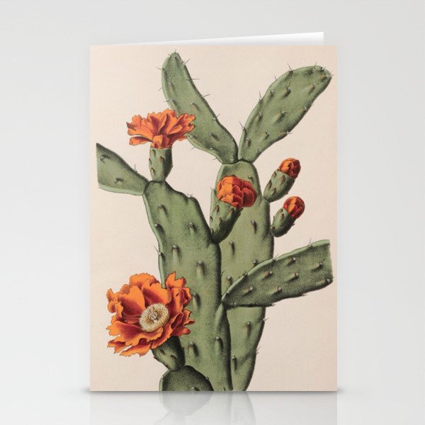 Botanical Cactus Stationery Cards