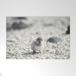 Baby nocturnal gull waiting for its parents to come back with some squid Welcome Mat