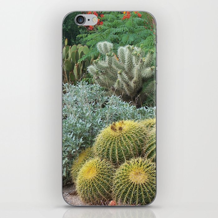 Cactus Garden #1 iPhone Skin