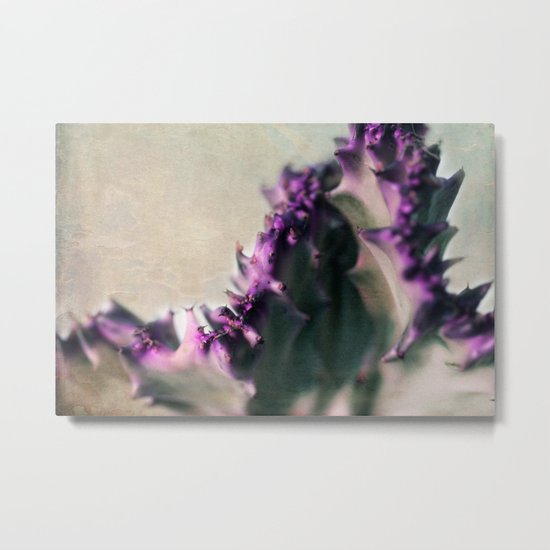 Euphorbia Metal Print