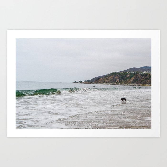 Dog on Beach Art Print