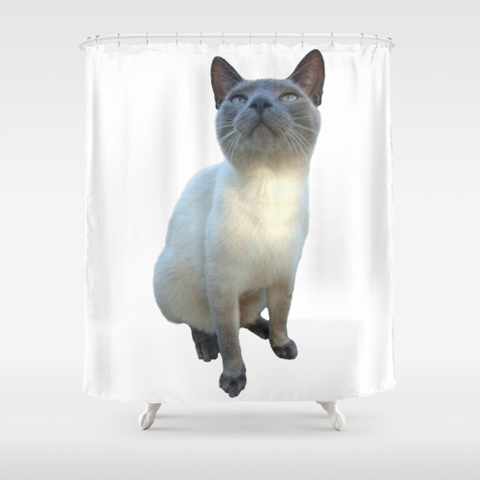 Siamese Cat Shower Curtain By Misimichu Society6