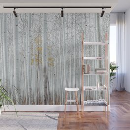 Birch Tree Forest Wall Mural