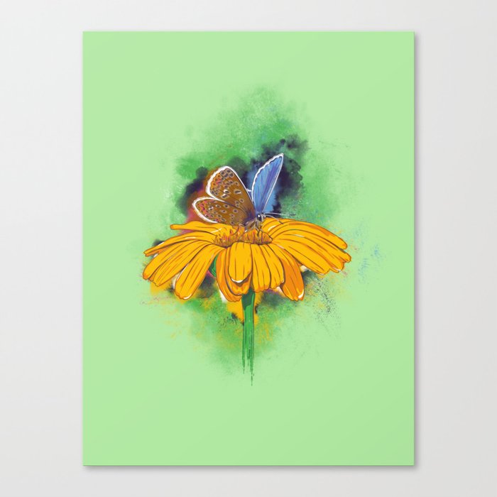 Magical butterfly of many colours Canvas Print