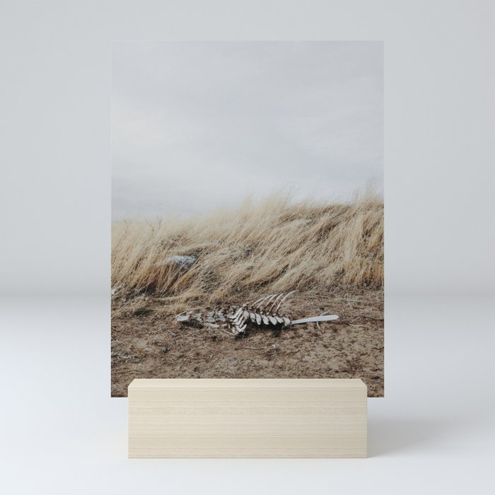 Winded Skeleton Mini Art Print
