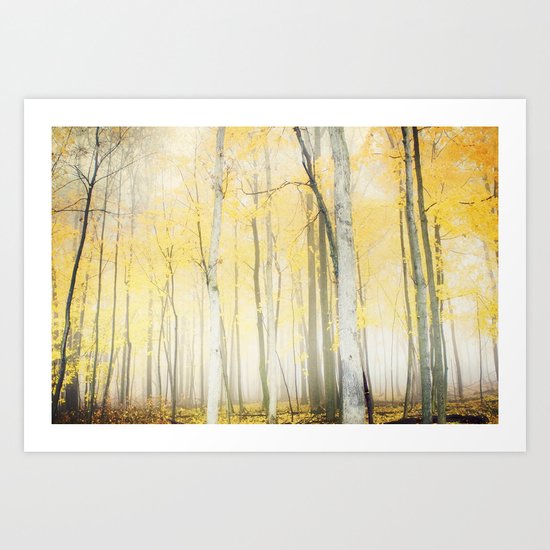 Enchantment Art Print