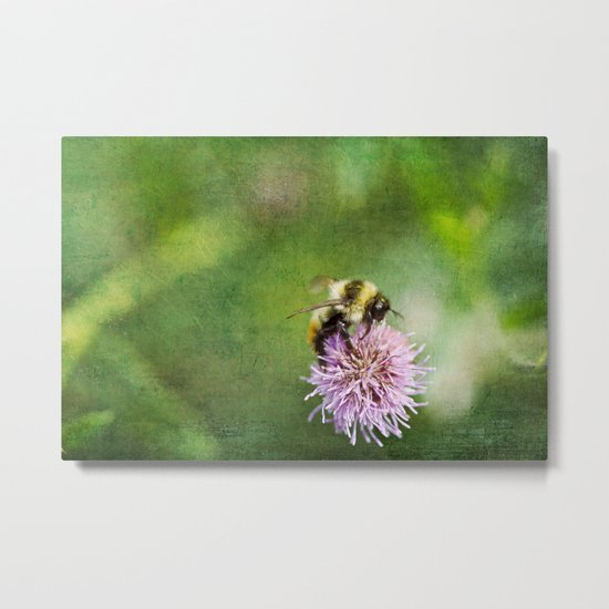 Summer is not over ... Metal Print