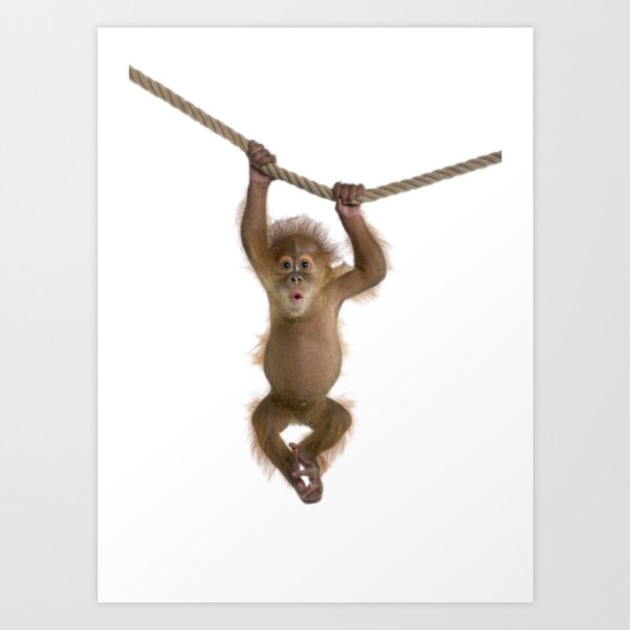 Monkey Style Art Print