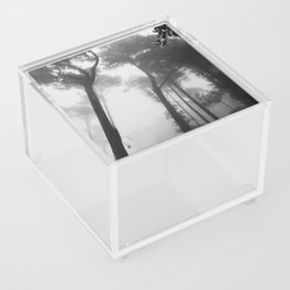 Enchanted moody forest | Black and white tall trees from below | Sintra National Park, Portugal Acrylic Box