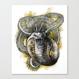 Death Snake Canvas Print