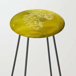 Yellow Cactus Pear Flower Close Up Photography Counter Stool