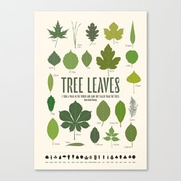 Tree leaves Canvas Print