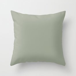 Sage x Simple Color Throw Pillow | Olivegreen, Succulent, Army, Color, Willow, Plant, Drab, Pine, Armygreen, Bluegreen 