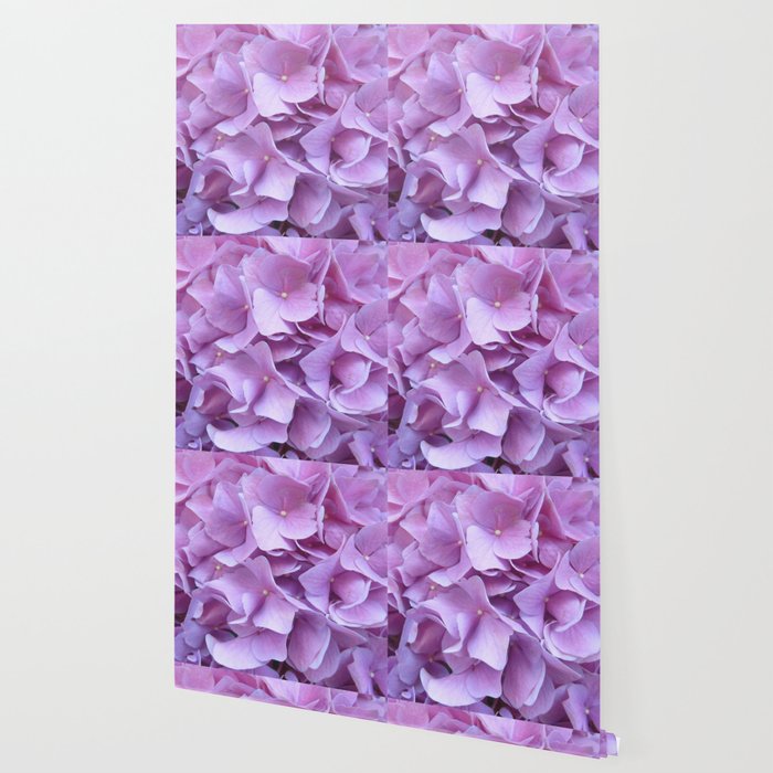 Hydrangea Wallpaper By Lillianhibiscus Society6