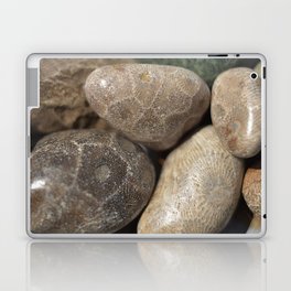 Petoskey Stones Laptop & iPad Skin