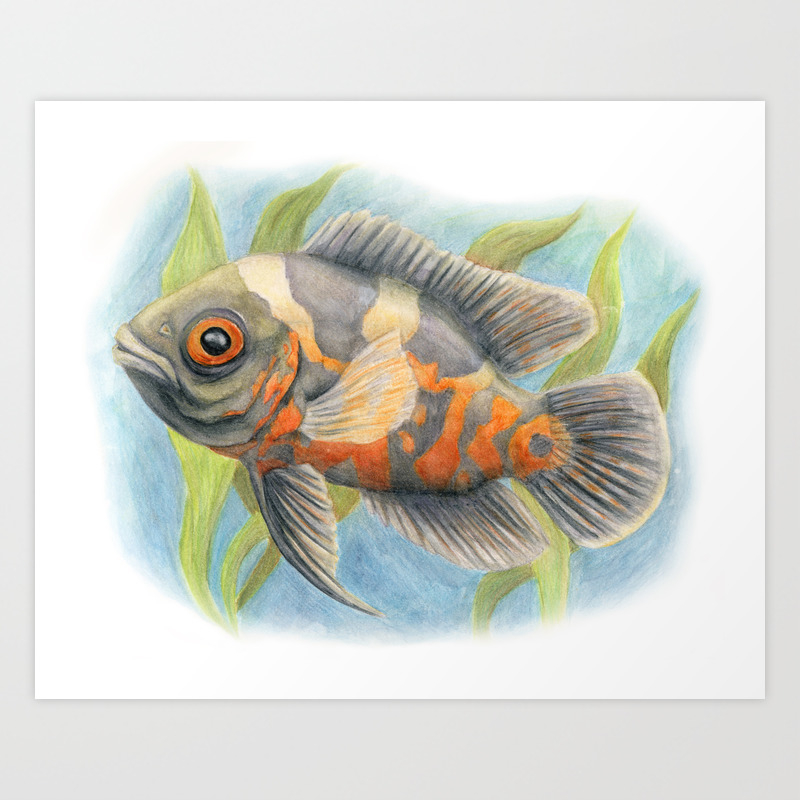 Baby Tiger Oscar Art Print By Dream Raven Designs Society6