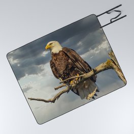 Limb With a View - Alaskan Adult Bald Eagle Picnic Blanket
