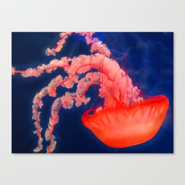 Floating Tendrils Canvas Print
