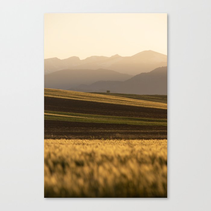 The Four Layers Canvas Print