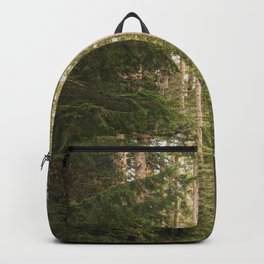 Redwood Forest Black Bear Adventure - National Parks Nature Photography Backpack